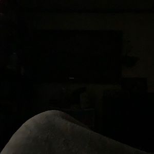 Meet your Posher, Ebony